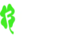 fortunica